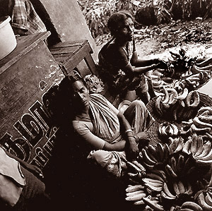 Banna Stall in Maduari Market - Click Here to see Thumbnail Images