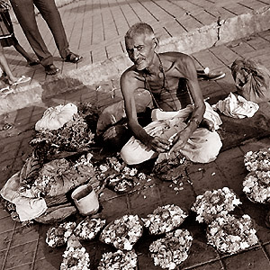Flower Salesman, Hardwar - Click Here for Thumbnail Images