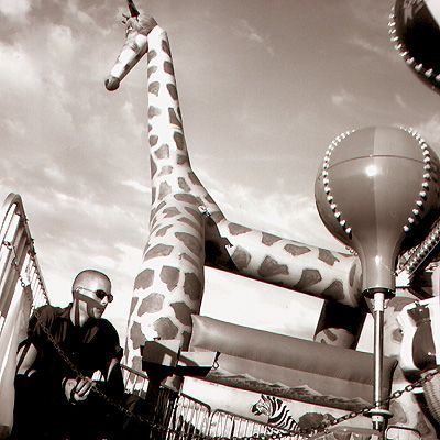 Giraffe - Click for Thumbnails