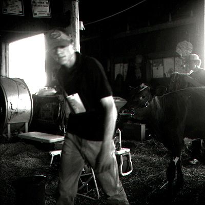 In the Barn - Click for Thumbnails